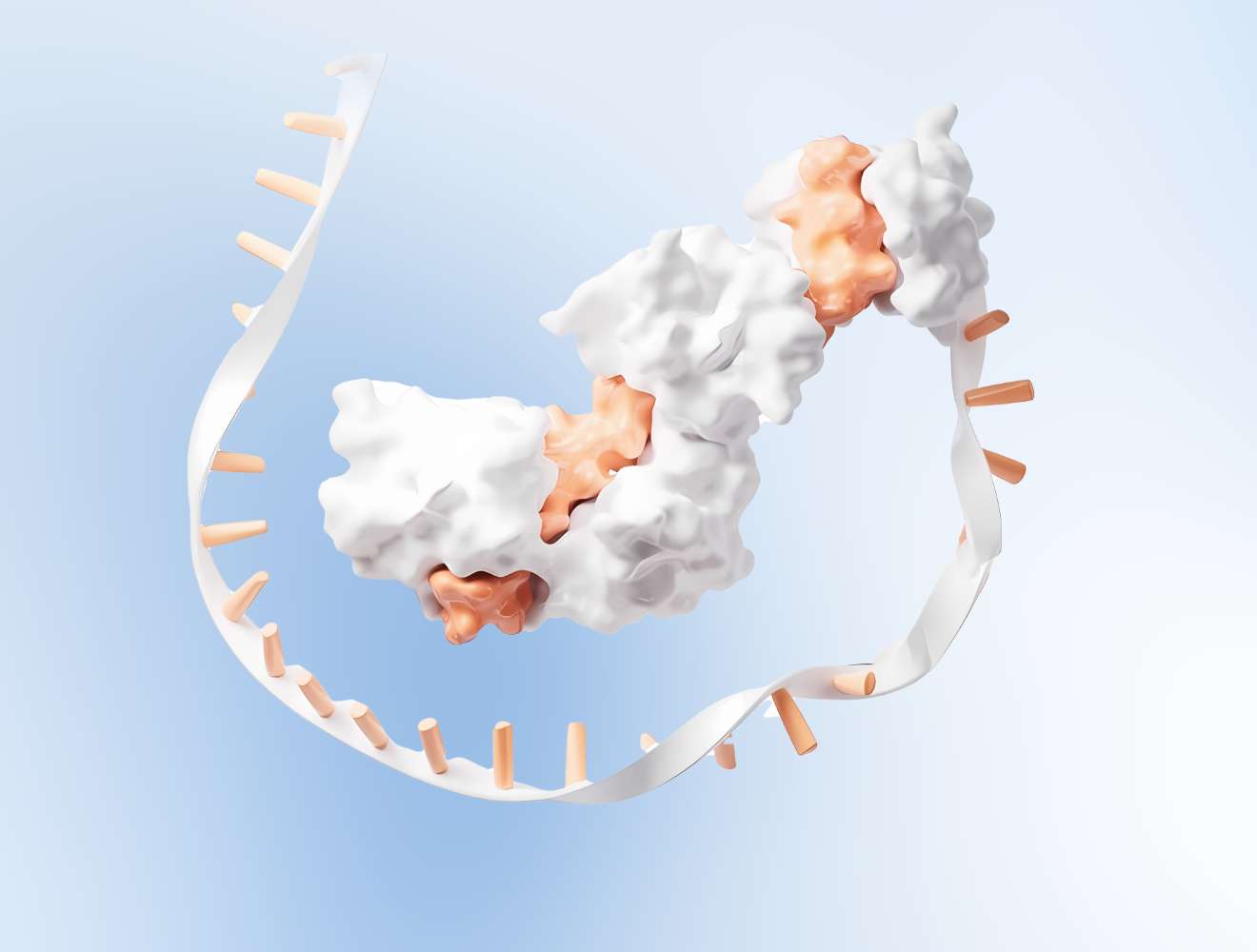 mRNA