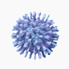 Lentivirus
