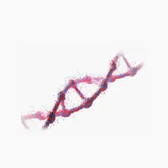 DNA