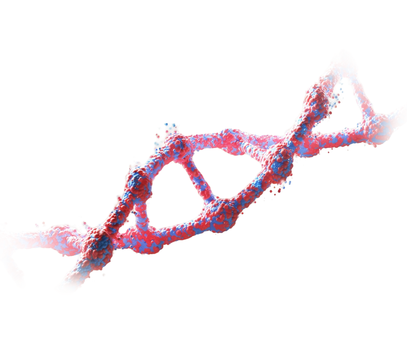 DNA