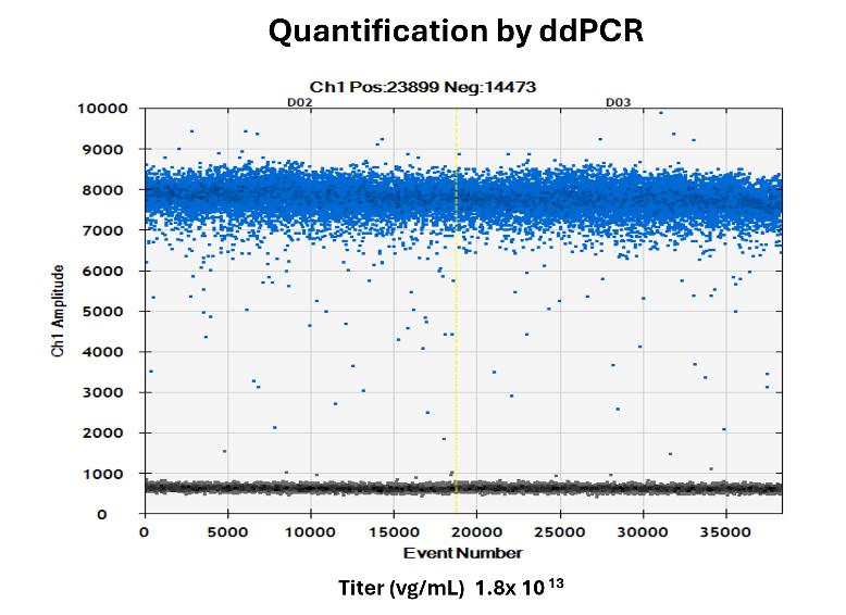 AAV-genome-titer-by-ddPCR