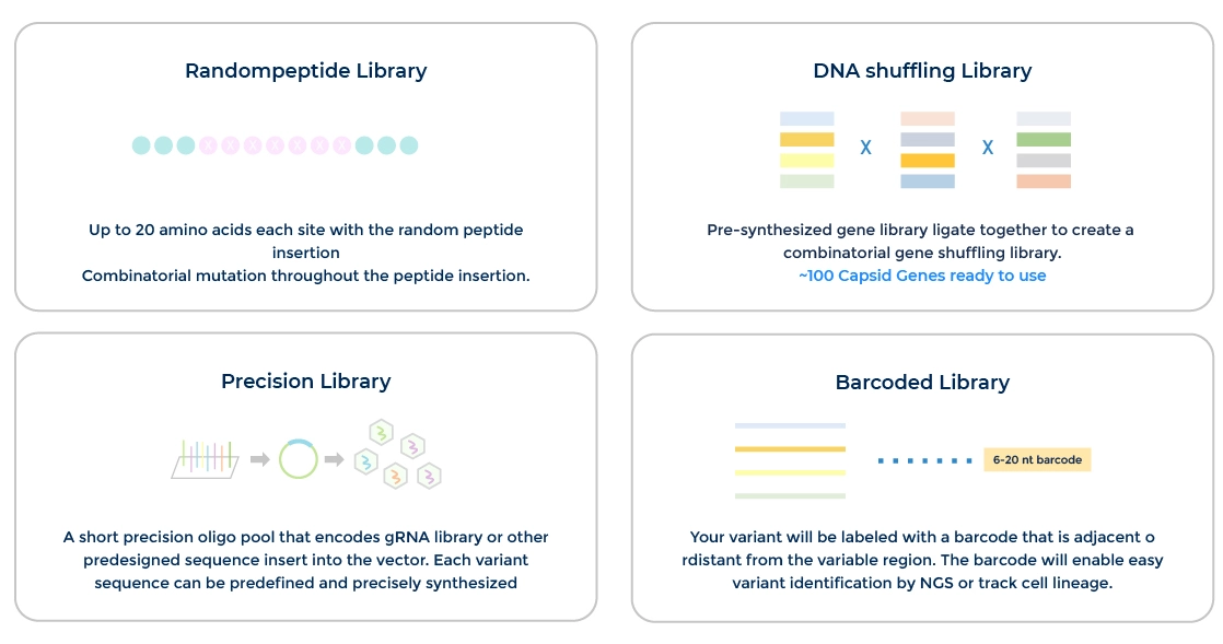Diverse Library Designs