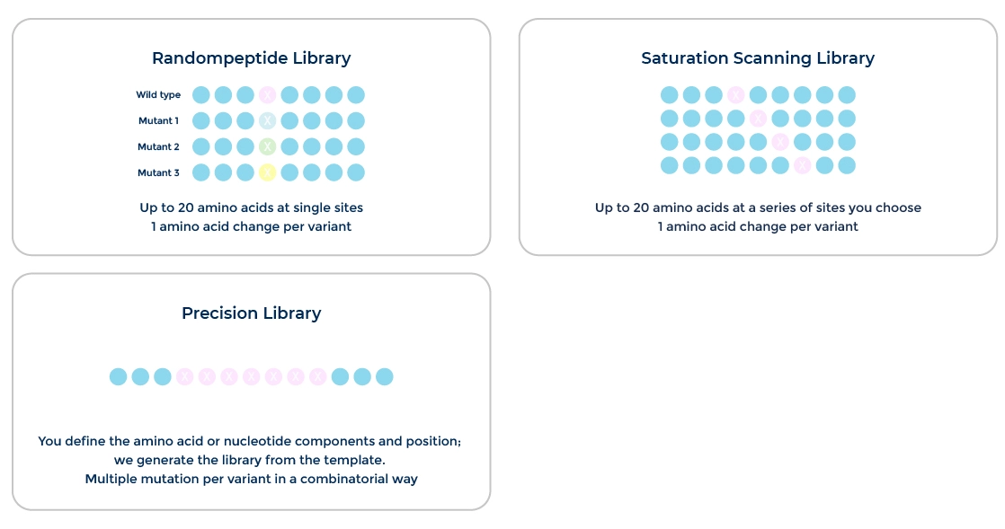 More library design we can handle