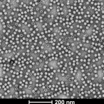 NHP-grade-TEM