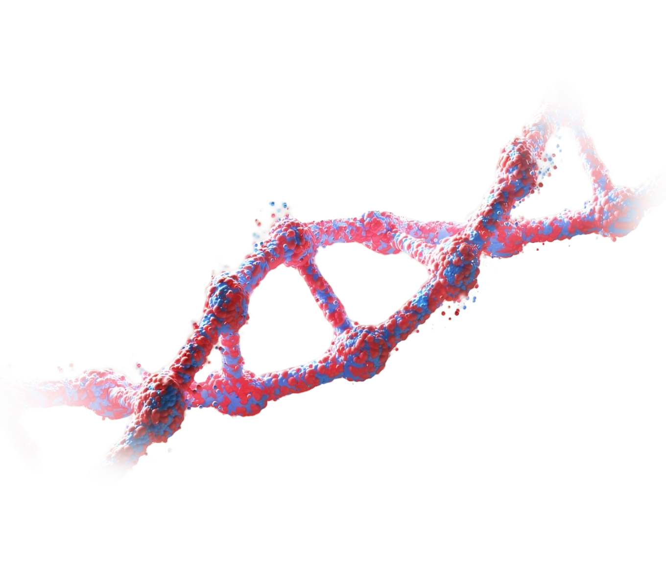 Plasmid.Preparation