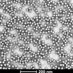 Research-grade-TEM