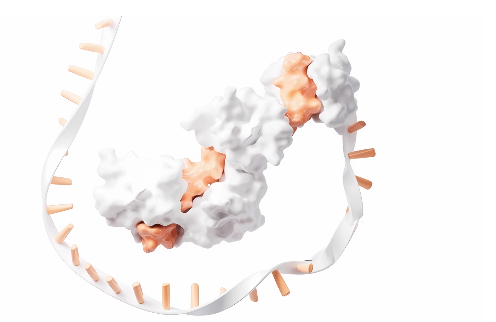 mRNA-Services