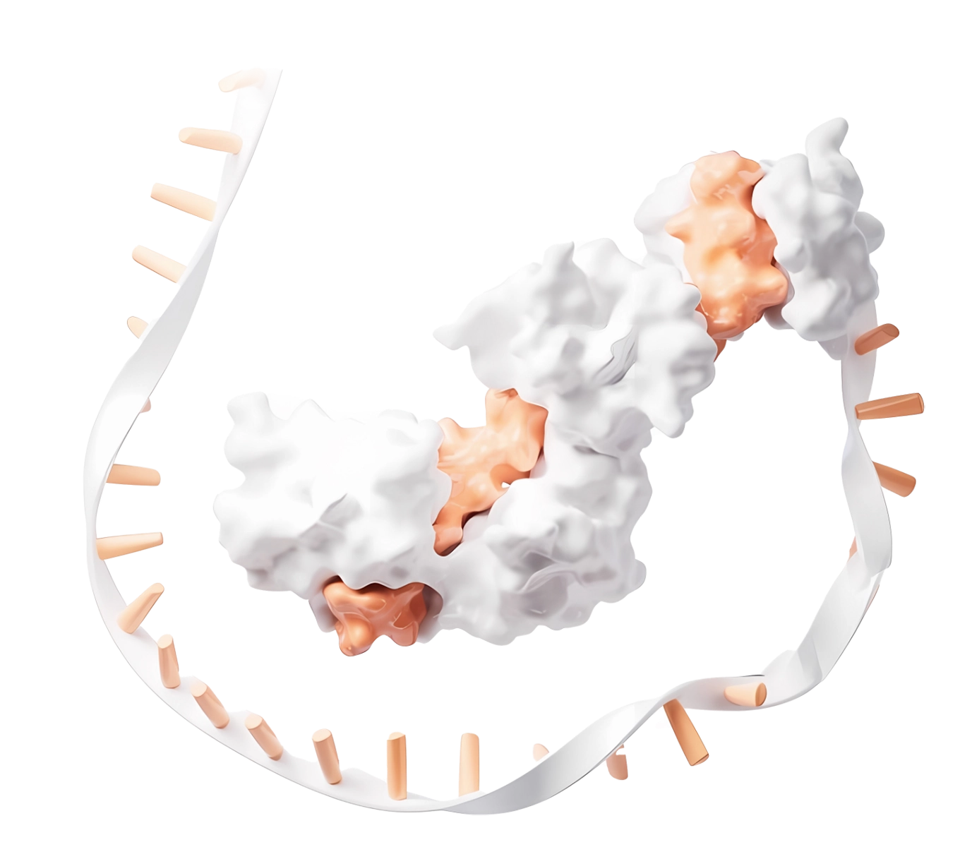 mRNA Services