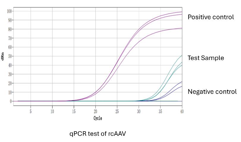 qPCR-test-of-rcAAV