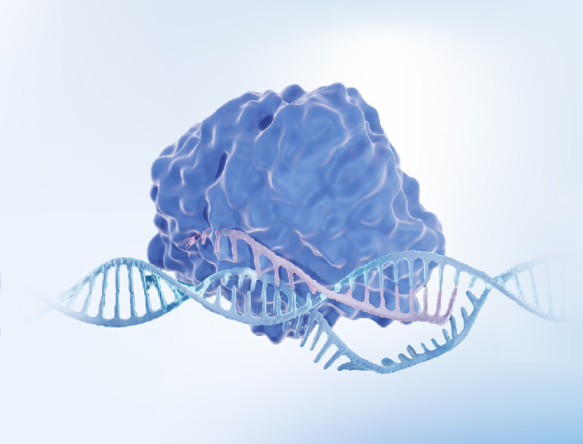 Fast mrna service for gene editing