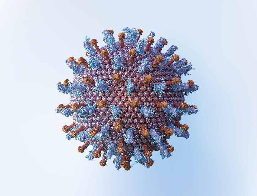 Hbv