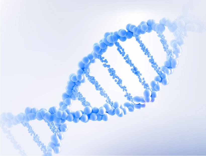 Plasmid prep preclinical 拷贝