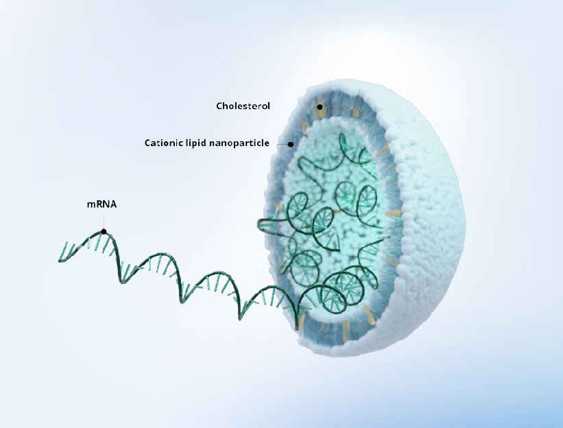 图片 off the shelf mrna and lnp 26